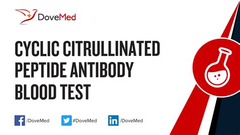 cyclic peptide|cyclic peptide blood test.